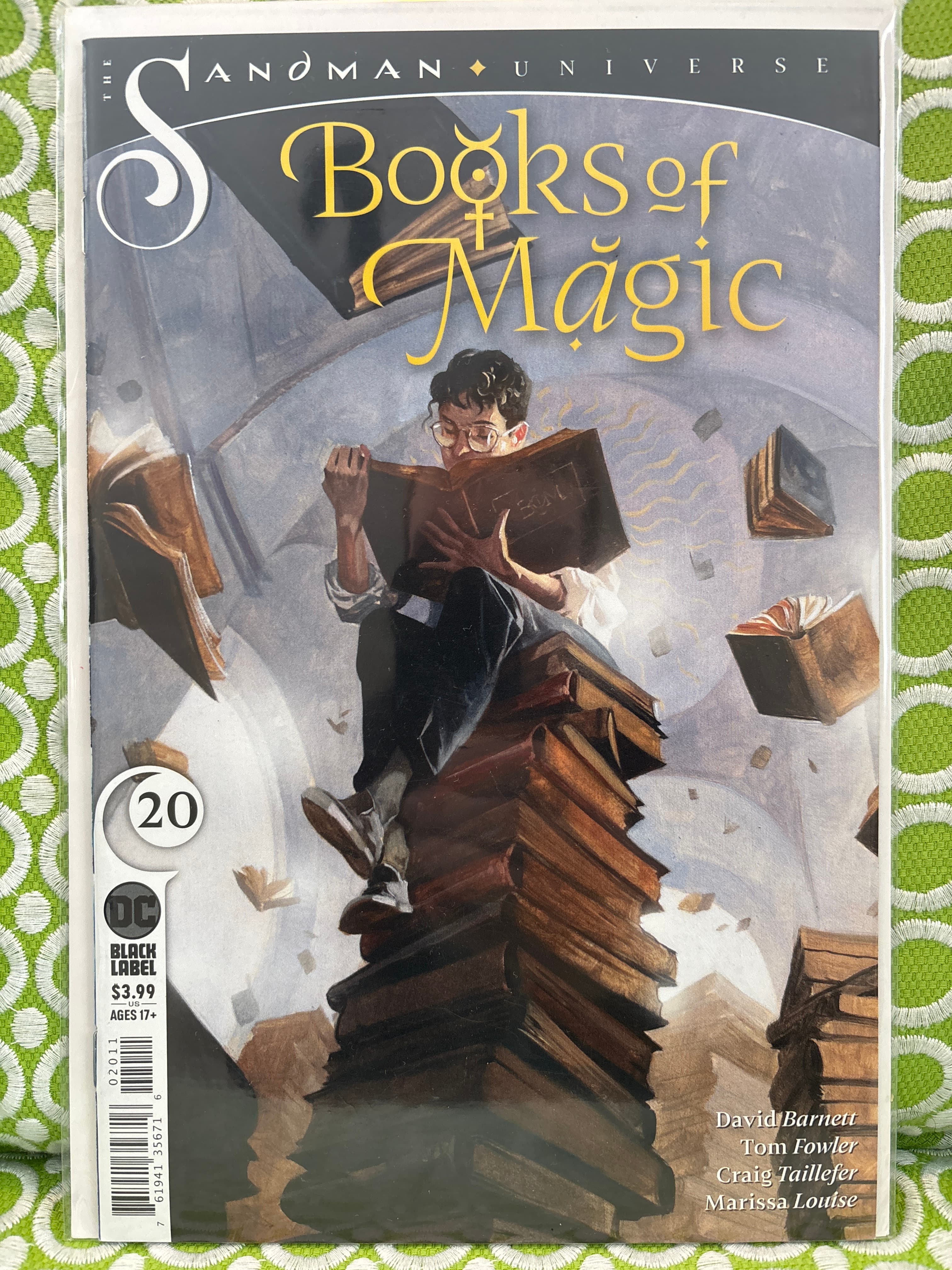 Cover of Books of Magic (2018) #20