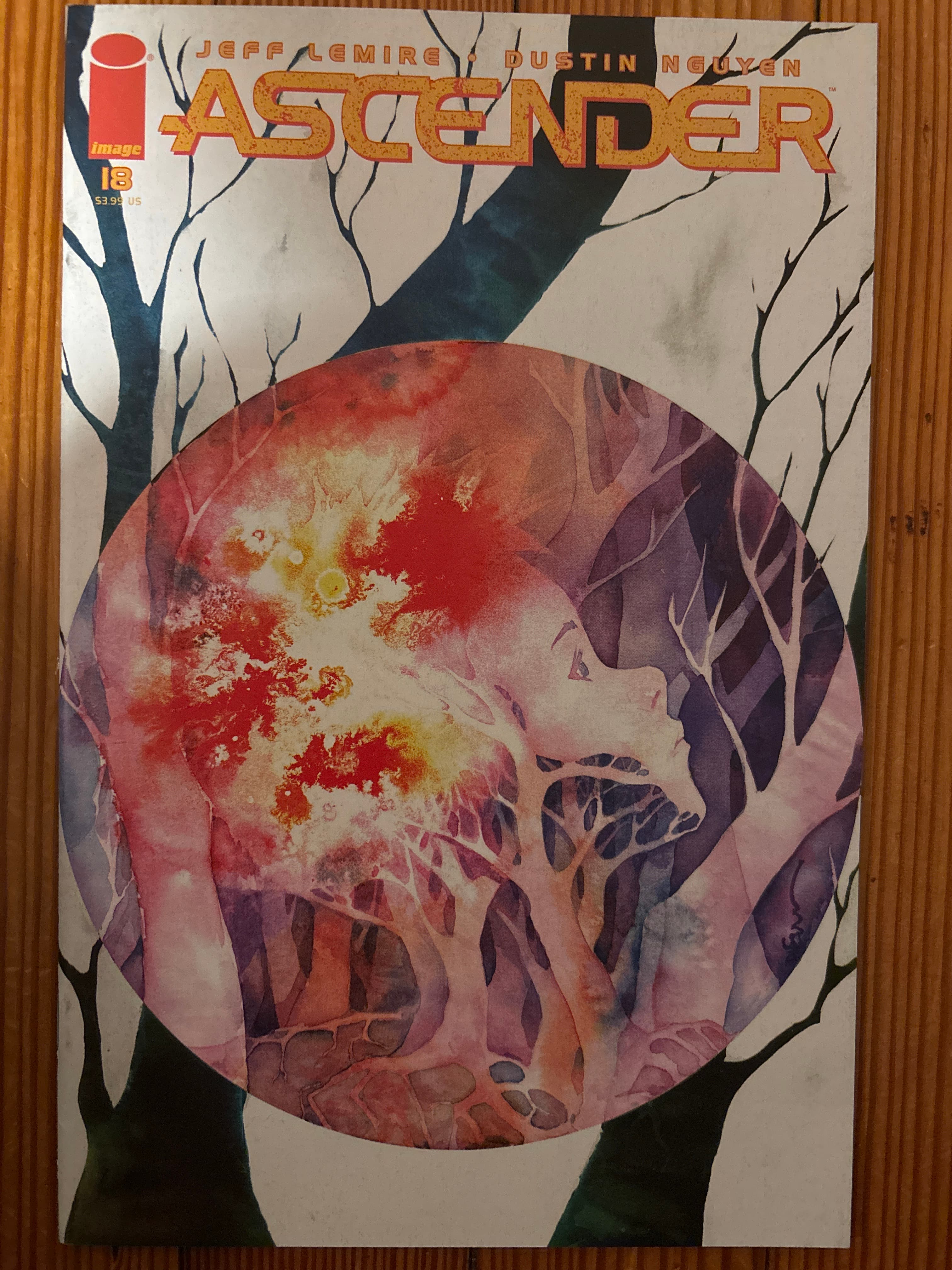 Cover of Ascender (2019) #18 — Cover A - Dustin Nguyen